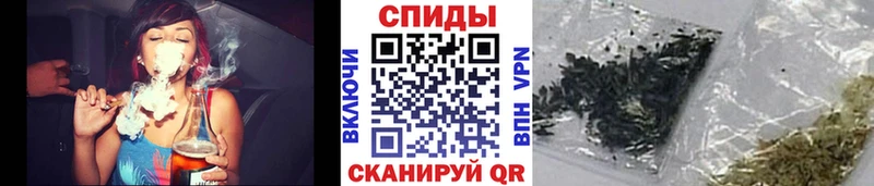 Бутират BDO  Купить где  Терек 