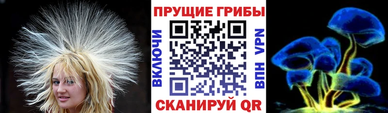 Псилоцибиновые грибы Magic Shrooms  Купить где  Терек 